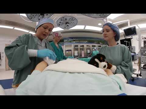 Hospital In Patient Experience